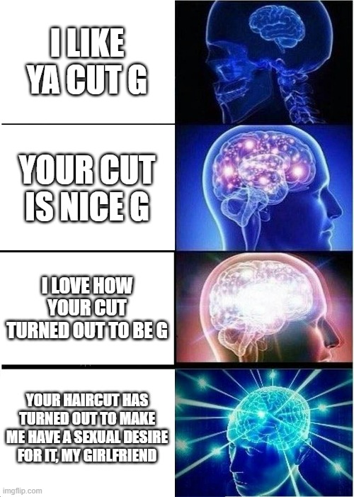 (Hope I didn't screw up) | I LIKE YA CUT G; YOUR CUT IS NICE G; I LOVE HOW YOUR CUT TURNED OUT TO BE G; YOUR HAIRCUT HAS TURNED OUT TO MAKE ME HAVE A SEXUAL DESIRE FOR IT, MY GIRLFRIEND | image tagged in memes,expanding brain | made w/ Imgflip meme maker