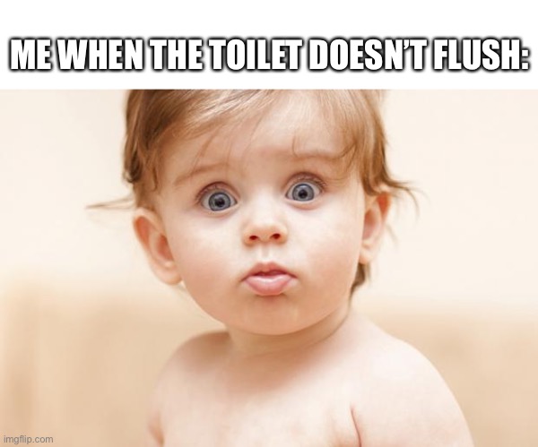 Intensity: starts | ME WHEN THE TOILET DOESN’T FLUSH: | image tagged in woops,bruh moment,creepy condescending wonka | made w/ Imgflip meme maker