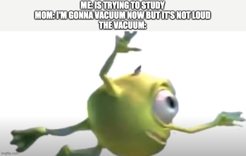 Vacuum |  ME: IS TRYING TO STUDY
MOM: I'M GONNA VACUUM NOW BUT IT'S NOT LOUD
THE VACUUM: | image tagged in monsters inc,mike wazowski,vacuum,loud,mom,study | made w/ Imgflip meme maker
