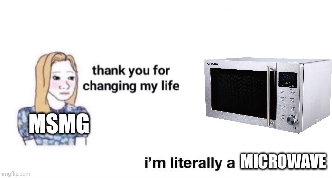 thank you for changing my life | MSMG; MICROWAVE | image tagged in thank you for changing my life | made w/ Imgflip meme maker
