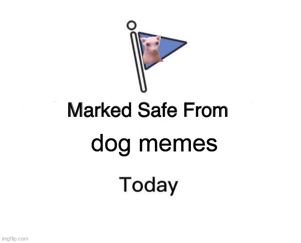 Marked Safe From Meme | dog memes | image tagged in memes,marked safe from | made w/ Imgflip meme maker