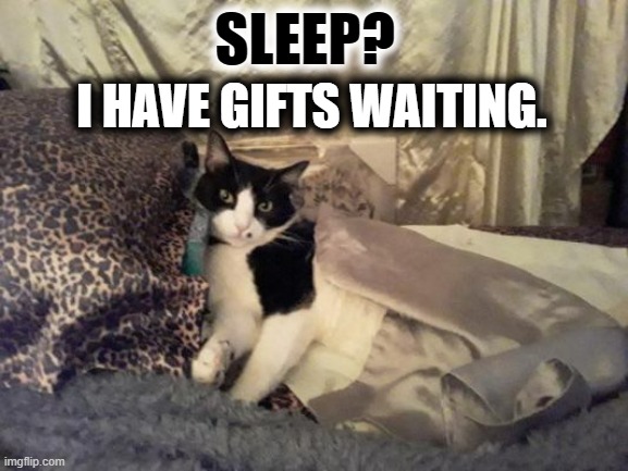 SLEEP? I HAVE GIFTS WAITING. | made w/ Imgflip meme maker