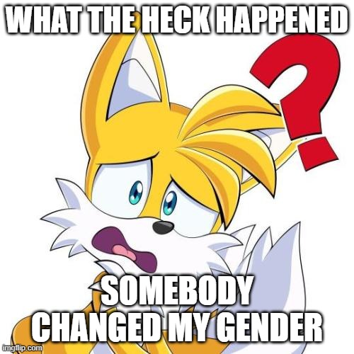 WHAT THE HECK HAPPENED; SOMEBODY CHANGED MY GENDER | made w/ Imgflip meme maker