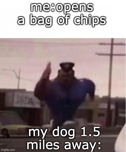 happens to me tho- | me:opens a bag of chips; my dog 1.5 miles away: | image tagged in potato chips,memes | made w/ Imgflip meme maker
