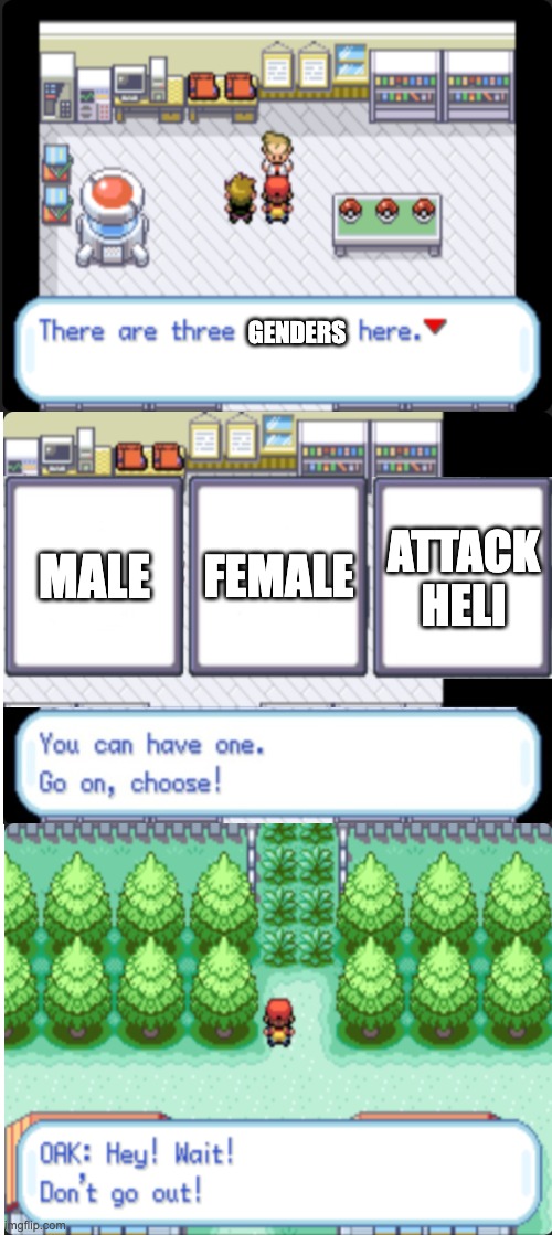 there are 3 genders here | GENDERS; MALE; FEMALE; ATTACK HELI | image tagged in there are 3 choices here,attack helicopter | made w/ Imgflip meme maker