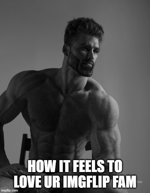wonder if there's no milk in the store. like waffle chan needs just 1 more braincell to simply milk yacht | HOW IT FEELS TO LOVE UR IMGFLIP FAM | image tagged in giga chad | made w/ Imgflip meme maker