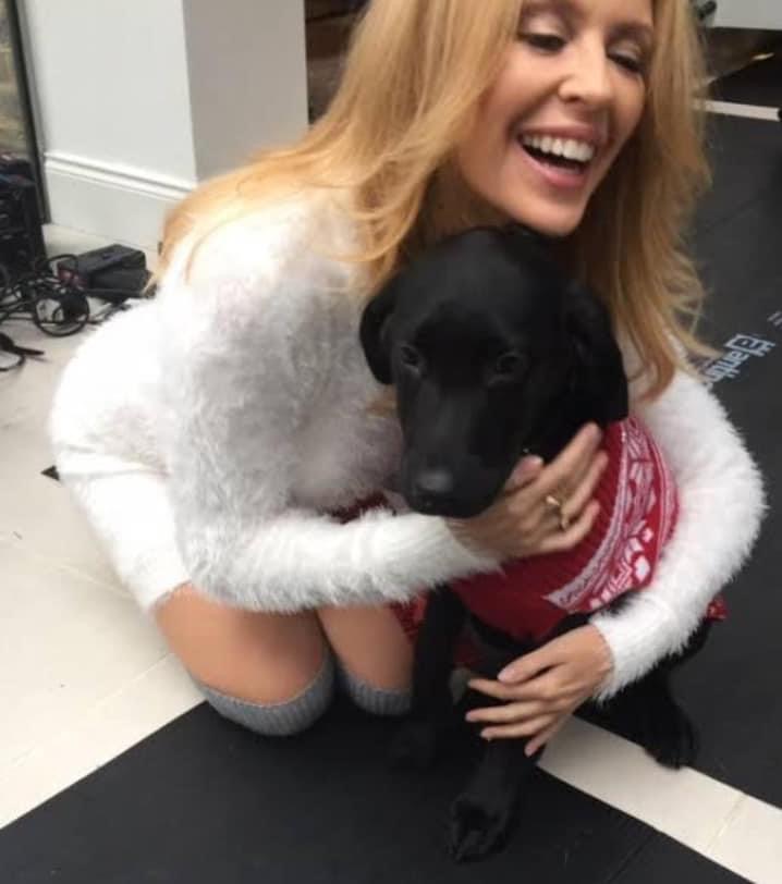 Kylie dog Blank Meme Template