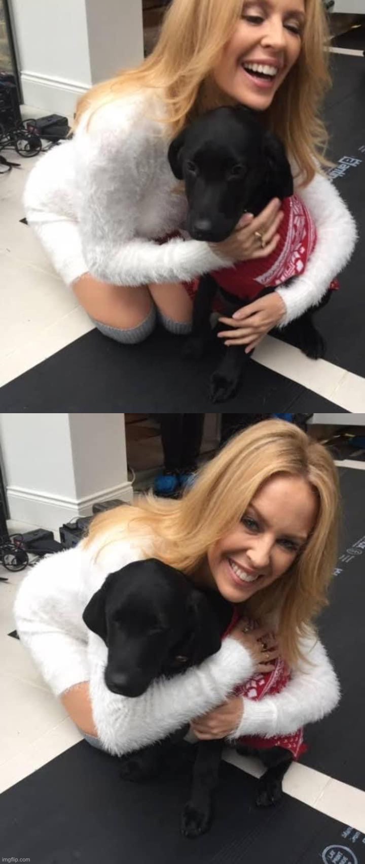 image tagged in kylie dog | made w/ Imgflip meme maker