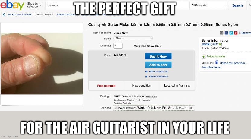 Meanwhile on ebay | THE PERFECT GIFT; FOR THE AIR GUITARIST IN YOUR LIFE | image tagged in air guitar,guitar,pick,ebay | made w/ Imgflip meme maker