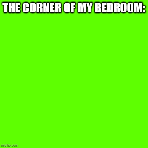 Blank Transparent Square Meme | THE CORNER OF MY BEDROOM: | image tagged in memes,blank transparent square | made w/ Imgflip meme maker