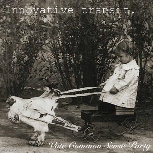 Inspired by sense, powered by chicken. | Innovative transit. Vote Common Sense Party | image tagged in girl with chicken cart,inspired,by,sense,powered,by chicken | made w/ Imgflip meme maker