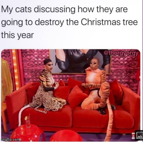 image tagged in memes,christmas,tree,cat | made w/ Imgflip meme maker
