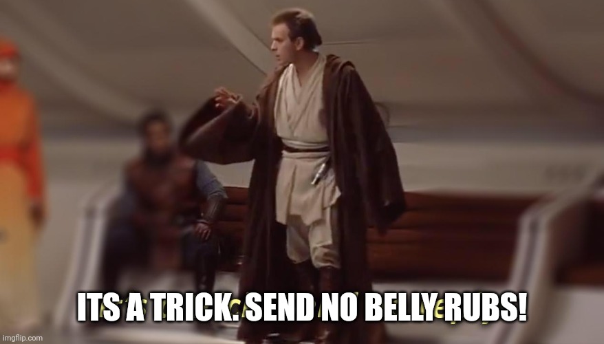 it's a trick, send no reply | ITS A TRICK. SEND NO BELLY RUBS! | image tagged in it's a trick send no reply | made w/ Imgflip meme maker