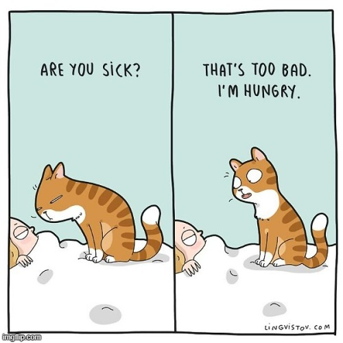 A Cat's Way Of Thinking | image tagged in memes,comics,cats,sick,i'm sorry,feed me | made w/ Imgflip meme maker