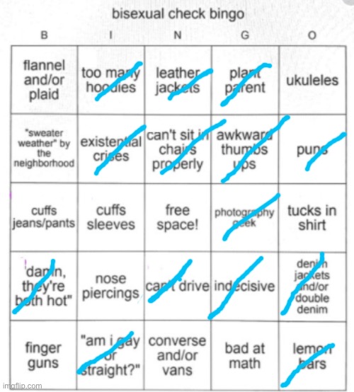 Bisexual Bingo | image tagged in bisexual bingo | made w/ Imgflip meme maker