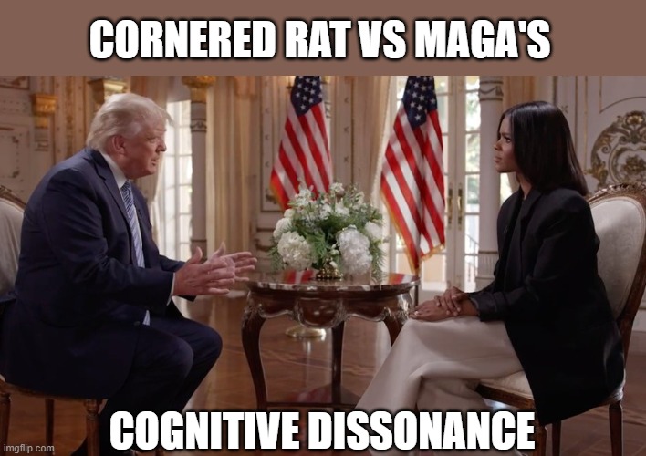 MAGA world in uproar over Trump's 'betrayal' on vaccines. | CORNERED RAT VS MAGA'S; COGNITIVE DISSONANCE | image tagged in trump,covid,covid vaccine,candace owens,gop idiocy,propandandist | made w/ Imgflip meme maker