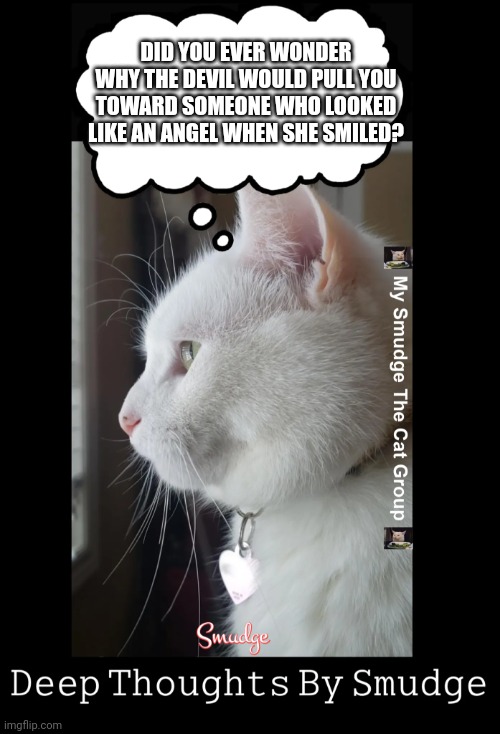 DID YOU EVER WONDER WHY THE DEVIL WOULD PULL YOU TOWARD SOMEONE WHO LOOKED LIKE AN ANGEL WHEN SHE SMILED? | image tagged in smudge the cat | made w/ Imgflip meme maker