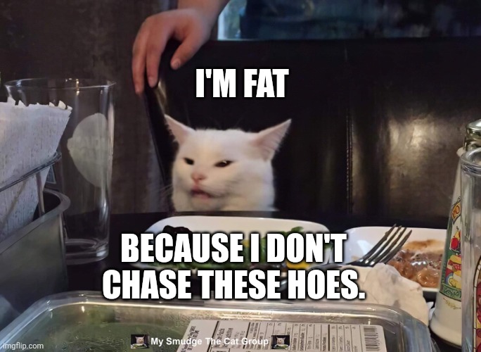 I'M FAT; BECAUSE I DON'T CHASE THESE HOES. | image tagged in smudge the cat | made w/ Imgflip meme maker