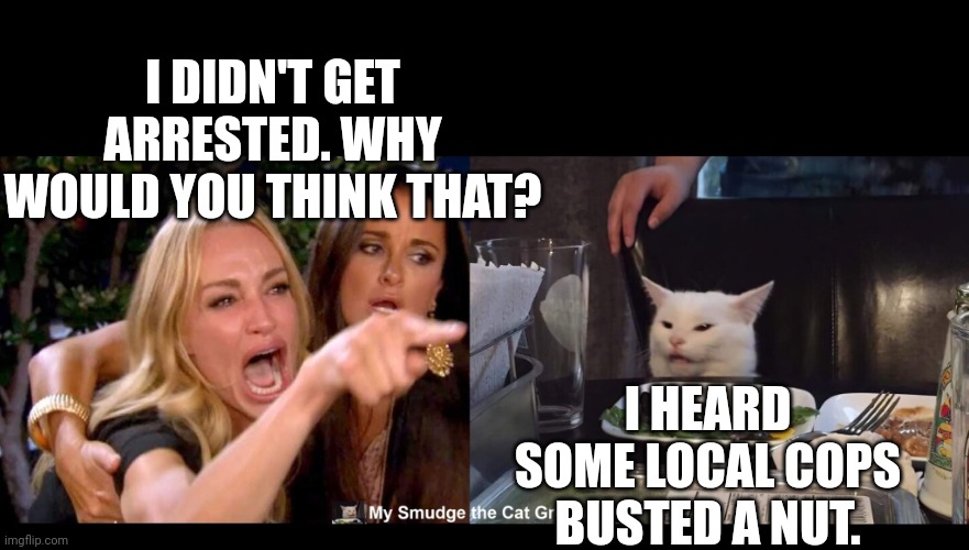 I DIDN'T GET ARRESTED. WHY WOULD YOU THINK THAT? I HEARD SOME LOCAL COPS BUSTED A NUT. | image tagged in smudge the cat | made w/ Imgflip meme maker