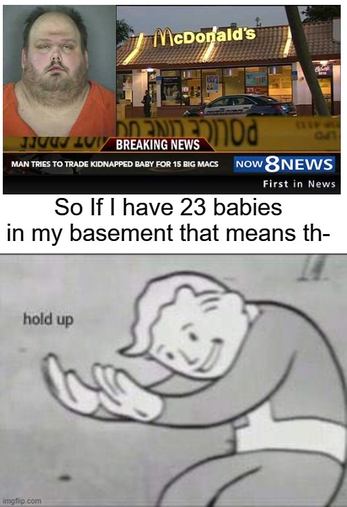 Hold up | So If I have 23 babies in my basement that means th- | image tagged in fallout hold up | made w/ Imgflip meme maker