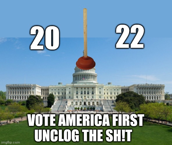 capitol hill | 22; 20; VOTE AMERICA FIRST; UNCLOG THE SH!T | image tagged in capitol hill | made w/ Imgflip meme maker