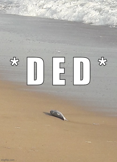 . | * D E D * | made w/ Imgflip meme maker