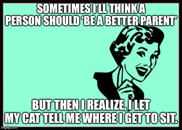 Judging you, judging me | SOMETIMES I’LL THINK A PERSON SHOULD ‘BE A BETTER PARENT’; BUT THEN I REALIZE, I LET MY CAT TELL ME WHERE I GET TO SIT. | image tagged in ecard,cats,cat,sarcasm | made w/ Imgflip meme maker
