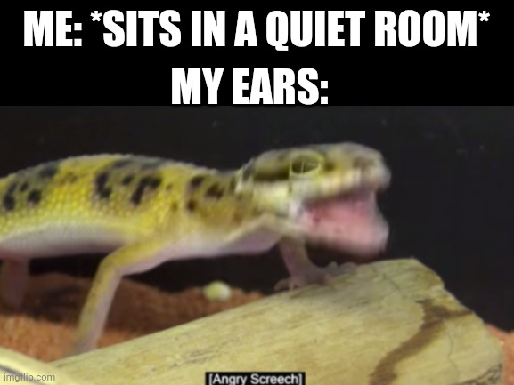 ME: *SITS IN A QUIET ROOM*; MY EARS: | image tagged in funny memes | made w/ Imgflip meme maker