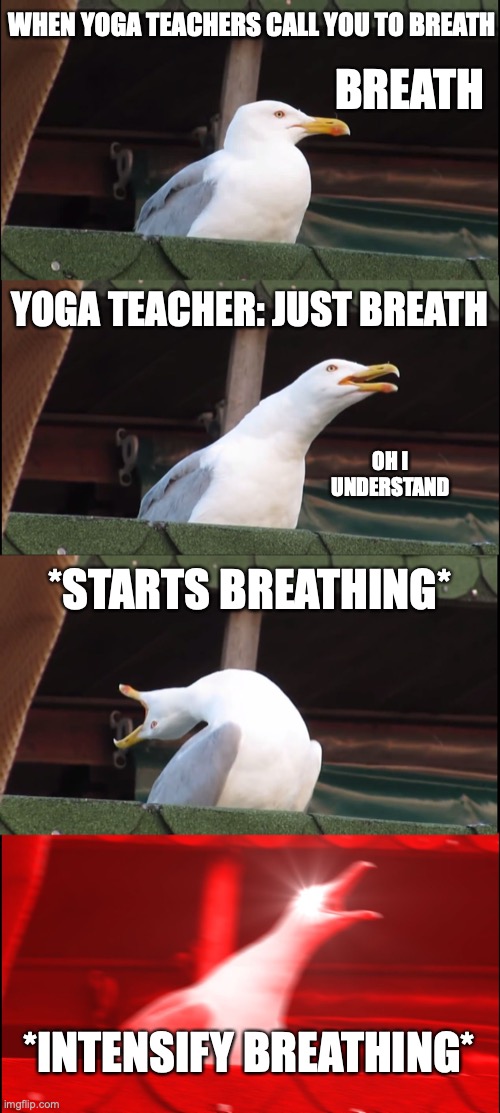 JUST BREATH | WHEN YOGA TEACHERS CALL YOU TO BREATH; BREATH; YOGA TEACHER: JUST BREATH; OH I UNDERSTAND; *STARTS BREATHING*; *INTENSIFY BREATHING* | image tagged in memes,inhaling seagull | made w/ Imgflip meme maker