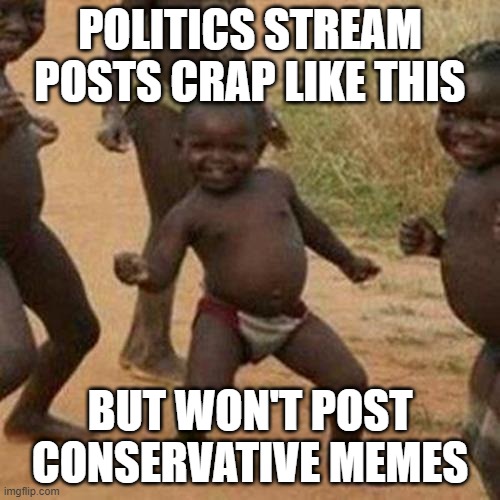 Politics | POLITICS STREAM POSTS CRAP LIKE THIS; BUT WON'T POST CONSERVATIVE MEMES | image tagged in memes,third world success kid | made w/ Imgflip meme maker