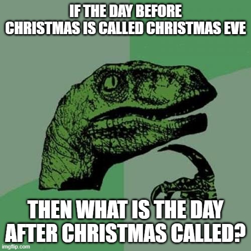 Philosoraptor Meme | IF THE DAY BEFORE CHRISTMAS IS CALLED CHRISTMAS EVE; THEN WHAT IS THE DAY AFTER CHRISTMAS CALLED? | image tagged in memes,philosoraptor | made w/ Imgflip meme maker