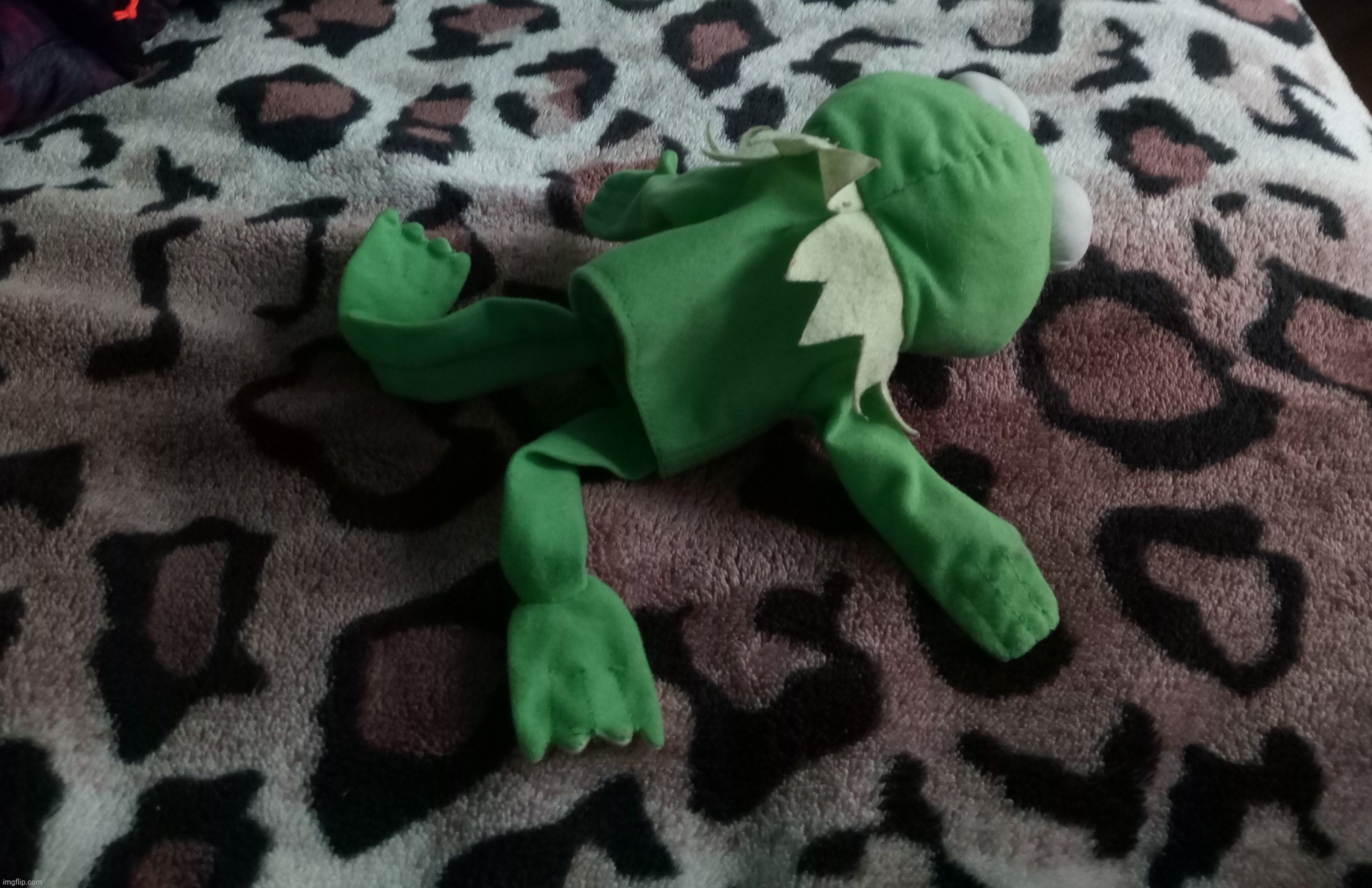 Dead Kermit - Custom Template | image tagged in dead kermit,kermit,kermit the frog,sesame street,dead,dead frog | made w/ Imgflip meme maker