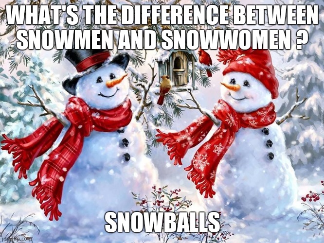 Dad joke thats told every winter | WHAT'S THE DIFFERENCE BETWEEN
SNOWMEN AND SNOWWOMEN ? SNOWBALLS | image tagged in memes,funny memes,dad jokes,snowmen,snowwomen,fun | made w/ Imgflip meme maker
