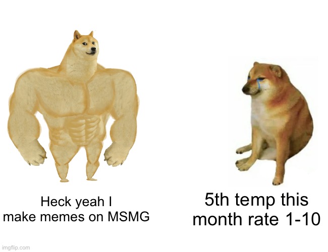 Funy | Heck yeah I make memes on MSMG; 5th temp this month rate 1-10 | image tagged in memes,buff doge vs cheems | made w/ Imgflip meme maker