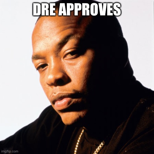 dr dre | DRE APPROVES | image tagged in dr dre | made w/ Imgflip meme maker