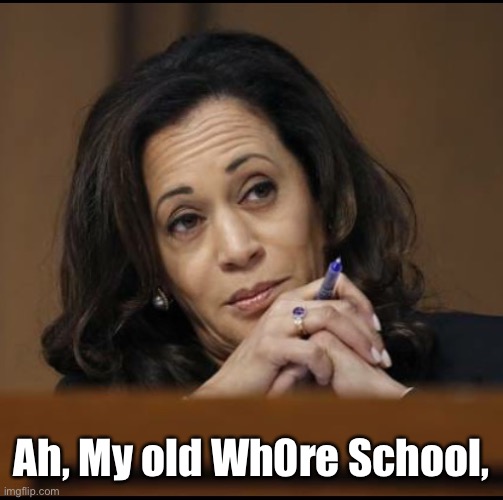 Kamala Harris  | Ah, My old Wh0re School, | image tagged in kamala harris | made w/ Imgflip meme maker