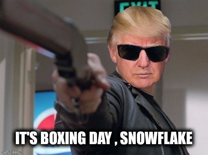 The Trumpinator | IT'S BOXING DAY , SNOWFLAKE | image tagged in the trumpinator | made w/ Imgflip meme maker