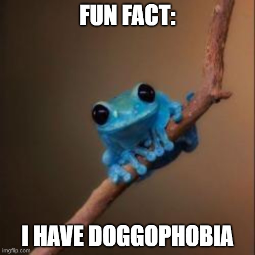 Fun Fact Frog | FUN FACT:; I HAVE DOGGOPHOBIA | image tagged in fun fact frog | made w/ Imgflip meme maker