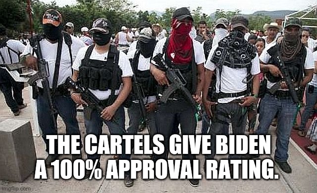 Ask the Cartel | THE CARTELS GIVE BIDEN A 100% APPROVAL RATING. | image tagged in ask the cartel | made w/ Imgflip meme maker