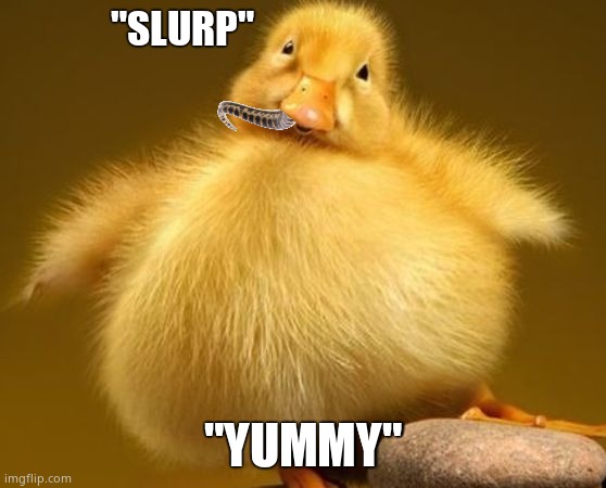 "SLURP" "YUMMY" | made w/ Imgflip meme maker