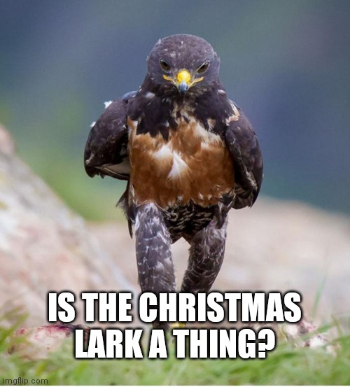 Wondering Wandering Falcon | IS THE CHRISTMAS LARK A THING? | image tagged in wondering wandering falcon | made w/ Imgflip meme maker