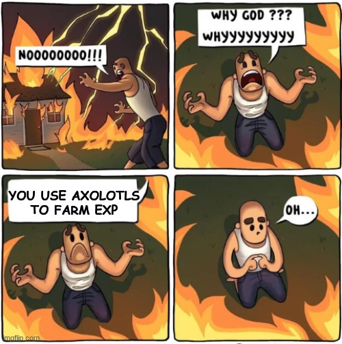 why god | YOU USE AXOLOTLS TO FARM EXP | image tagged in why god | made w/ Imgflip meme maker