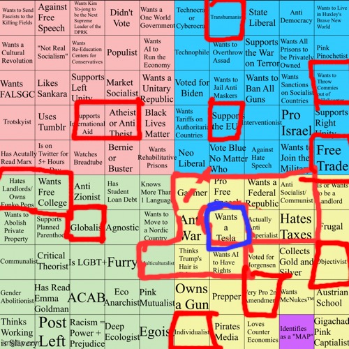 Red means I agree with it, Blue means I disagree with it but it got boxed inbetween statements I agree with. | image tagged in political compass bingo | made w/ Imgflip meme maker