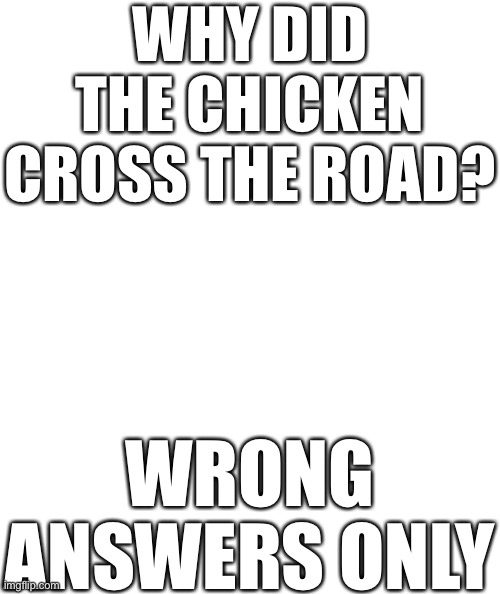 I’m BACK!!!!!!!!!! | WHY DID THE CHICKEN CROSS THE ROAD? WRONG ANSWERS ONLY | image tagged in white rectangle | made w/ Imgflip meme maker
