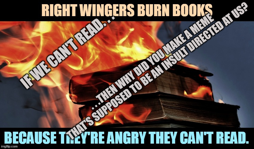 As usual a Leftie doesn't think things through and we don't burn books unlike ANTIFA and BLM. | IF WE CAN'T READ. . . . . .THEN WHY DID YOU MAKE A MEME THAT'S SUPPOSED TO BE AN INSULT DIRECTED AT US? | image tagged in stupid people,liberal logic,liberal vs conservative,political humor | made w/ Imgflip meme maker