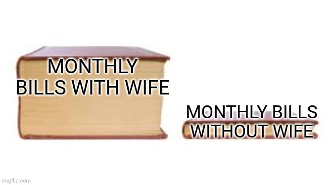 Damn those expenses | MONTHLY BILLS WITH WIFE; MONTHLY BILLS WITHOUT WIFE | image tagged in big book small book | made w/ Imgflip meme maker