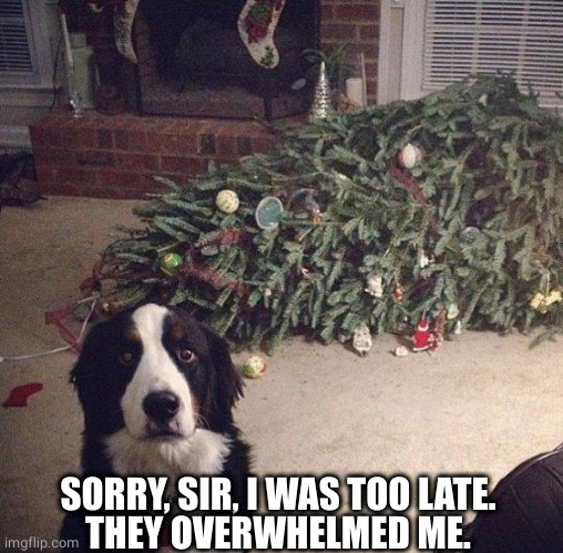 Dog Christmas Tree | SORRY, SIR, I WAS TOO LATE.
THEY OVERWHELMED ME. | image tagged in dog christmas tree | made w/ Imgflip meme maker