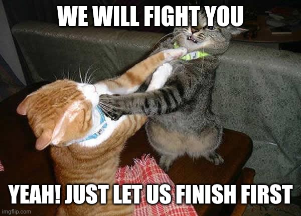 Two cats fighting for real | WE WILL FIGHT YOU YEAH! JUST LET US FINISH FIRST | image tagged in two cats fighting for real | made w/ Imgflip meme maker