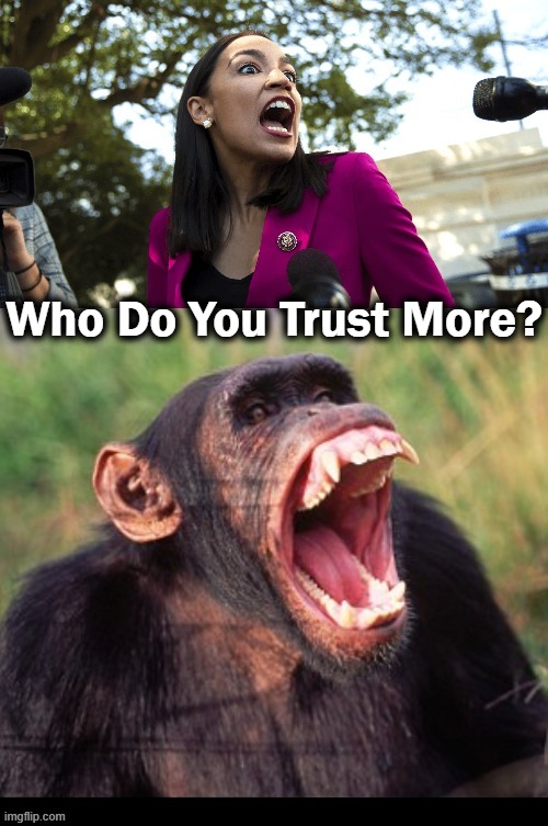 Alexandria Ocasio-Cortez or Anonymous? | Who Do You Trust More? | image tagged in politics,crazy aoc,anonymous,liberal,democrat | made w/ Imgflip meme maker