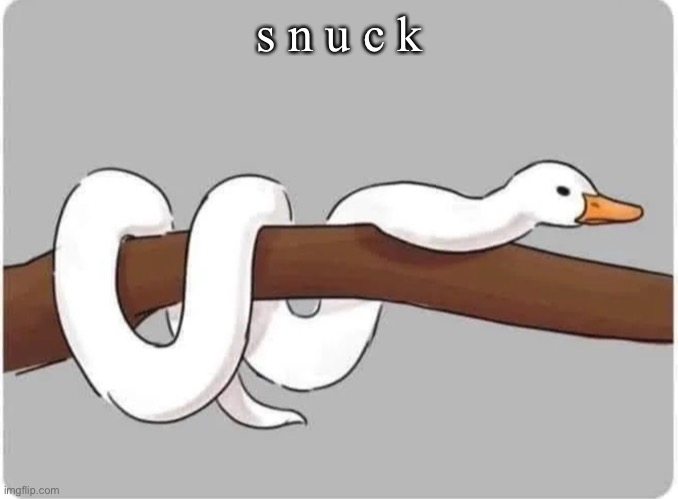 s n u c k | made w/ Imgflip meme maker